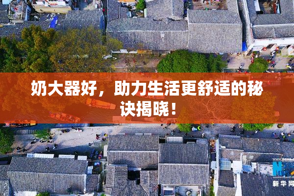 奶大器好，助力生活更舒适的秘诀揭晓！