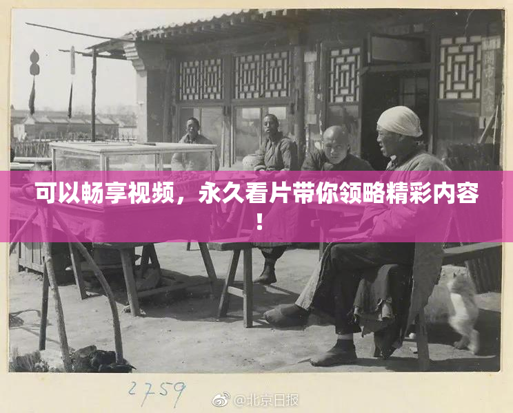 可以畅享视频，永久看片带你领略精彩内容！