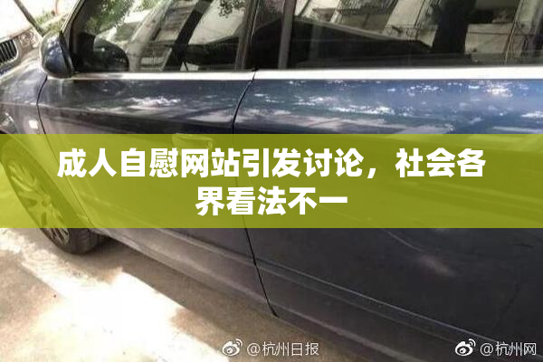成人自慰网站引发讨论，社会各界看法不一