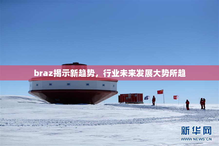 braz揭示新趋势，行业未来发展大势所趋