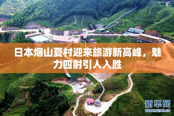 日本烟山夏村迎来旅游新高峰，魅力四射引人入胜