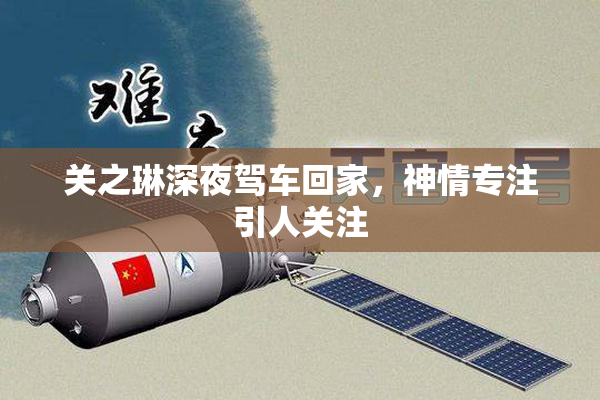 关之琳深夜驾车回家，神情专注引人关注