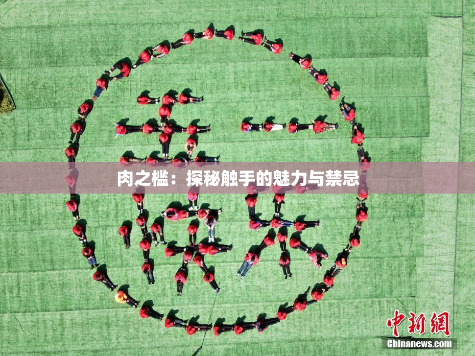 肉之槛：探秘触手的魅力与禁忌