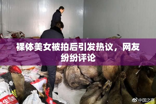 裸体美女被拍后引发热议，网友纷纷评论