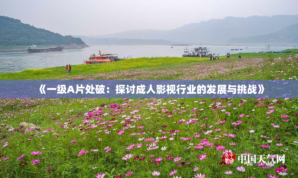 《一级A片处破：探讨成人影视行业的发展与挑战》
