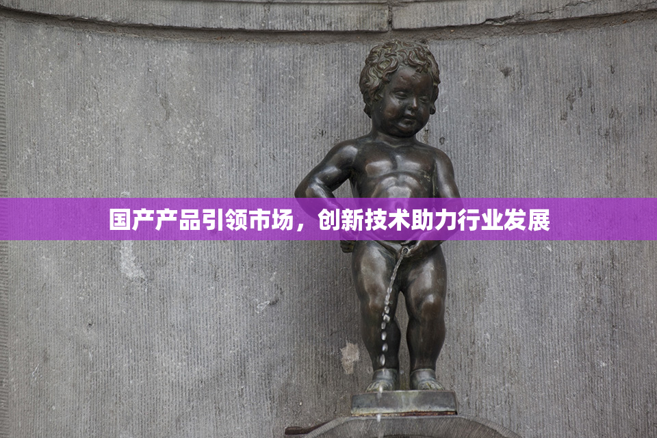 国产产品引领市场，创新技术助力行业发展