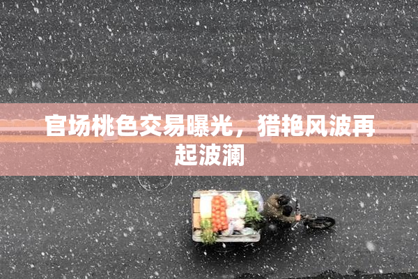 官场桃色交易曝光，猎艳风波再起波澜