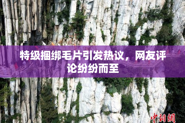 特级捆绑毛片引发热议，网友评论纷纷而至