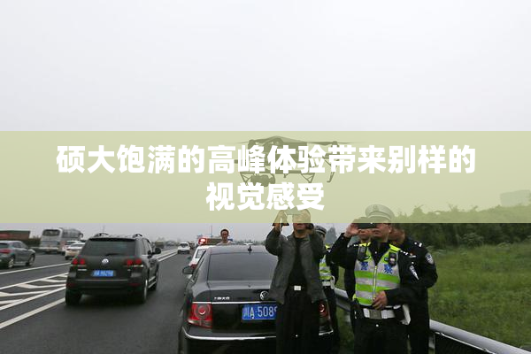 硕大饱满的高峰体验带来别样的视觉感受