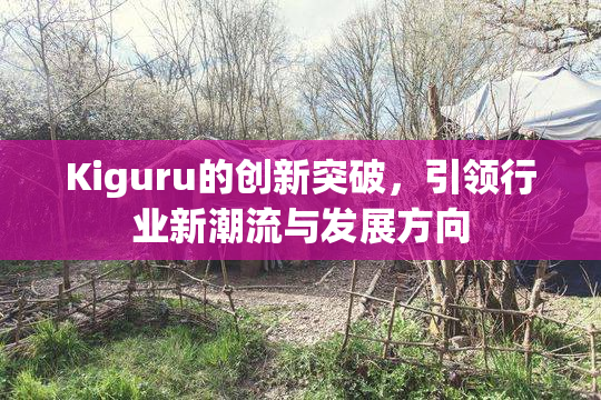 Kiguru的创新突破，引领行业新潮流与发展方向