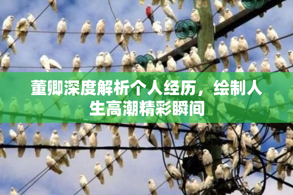 董卿深度解析个人经历，绘制人生高潮精彩瞬间