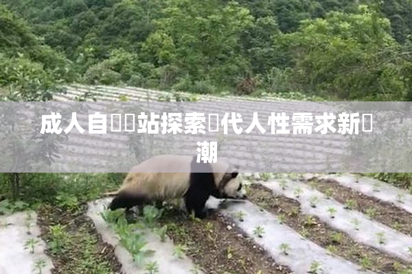 成人自娛網站探索現代人性需求新風潮