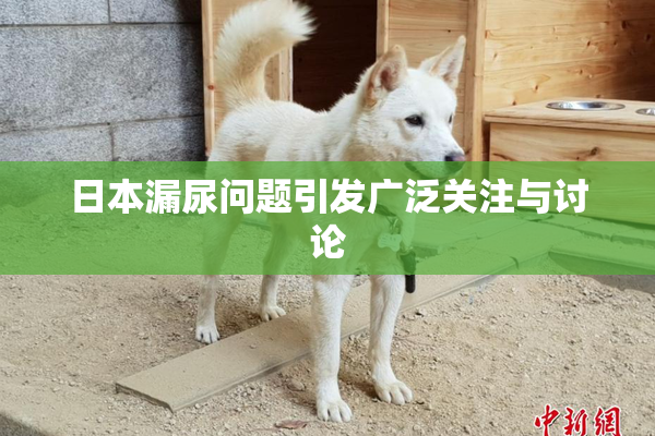 日本漏尿问题引发广泛关注与讨论