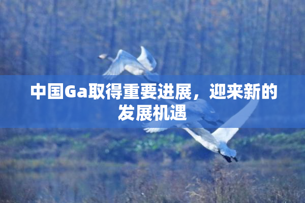 中国Ga取得重要进展，迎来新的发展机遇