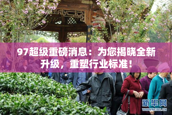 97超级重磅消息：为您揭晓全新升级，重塑行业标准！