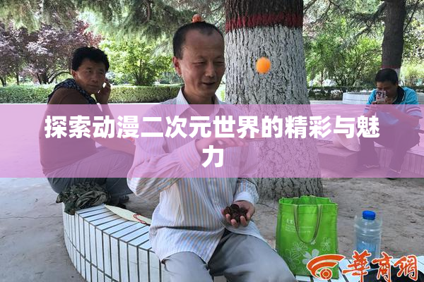 探索动漫二次元世界的精彩与魅力
