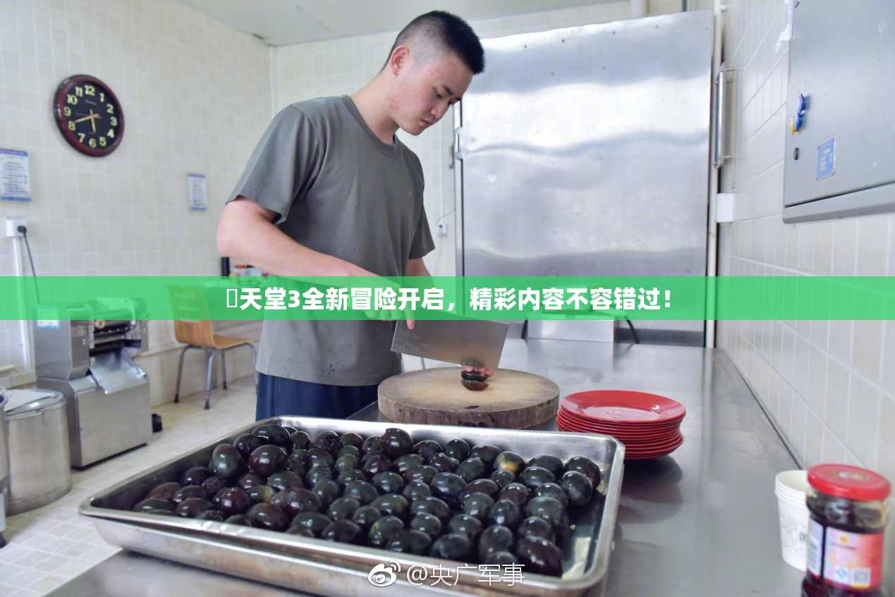 妺天堂3全新冒险开启，精彩内容不容错过！