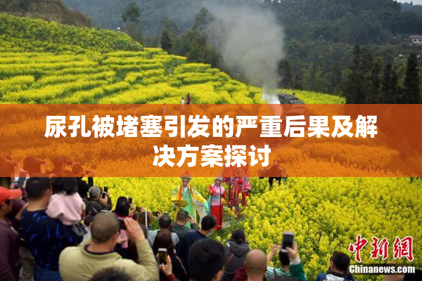 尿孔被堵塞引发的严重后果及解决方案探讨