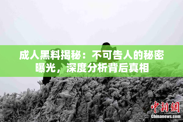 成人黑料揭秘：不可告人的秘密曝光，深度分析背后真相