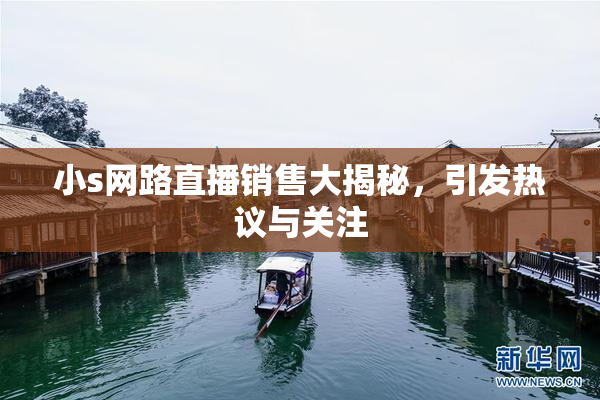 小s网路直播销售大揭秘，引发热议与关注