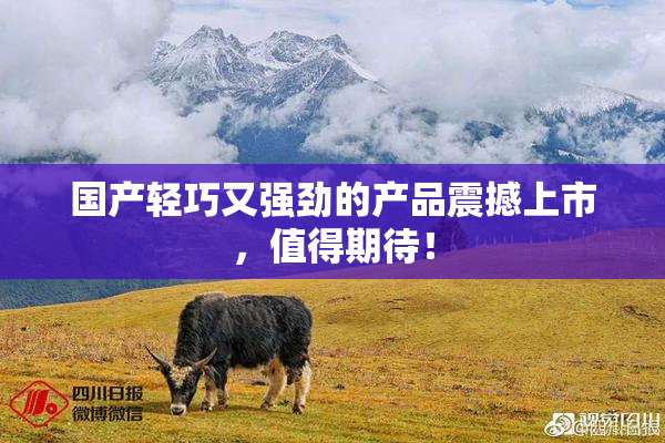 国产轻巧又强劲的产品震撼上市，值得期待！