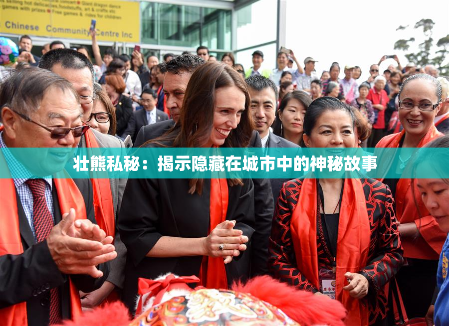 壮熊私秘：揭示隐藏在城市中的神秘故事