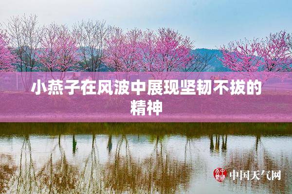 小燕子在风波中展现坚韧不拔的精神