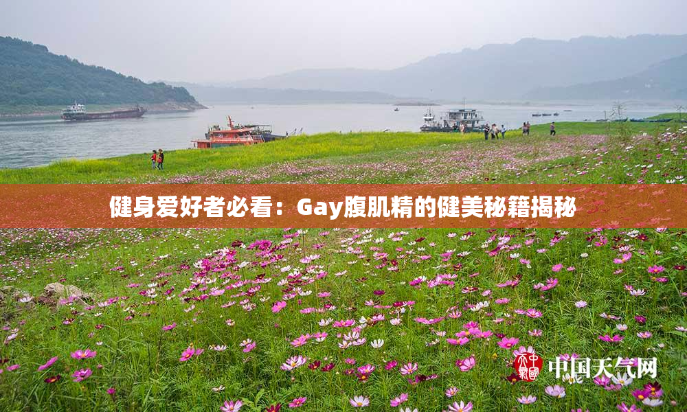 健身爱好者必看：Gay腹肌精的健美秘籍揭秘
