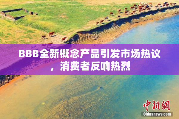 BBB全新概念产品引发市场热议，消费者反响热烈