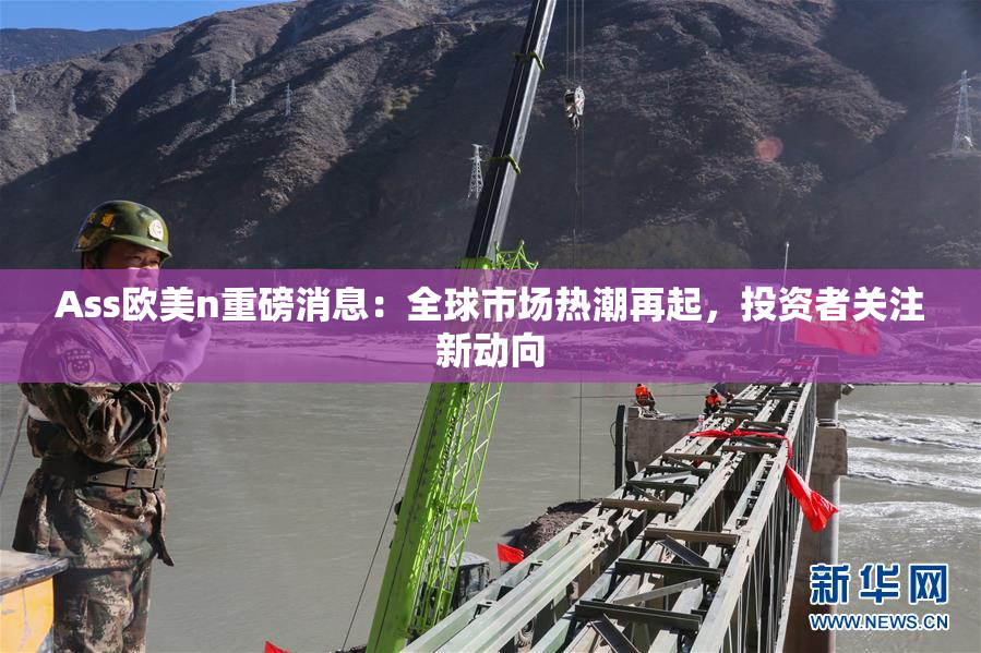 Ass欧美n重磅消息：全球市场热潮再起，投资者关注新动向