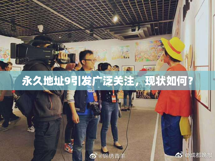 永久地址9引发广泛关注，现状如何？