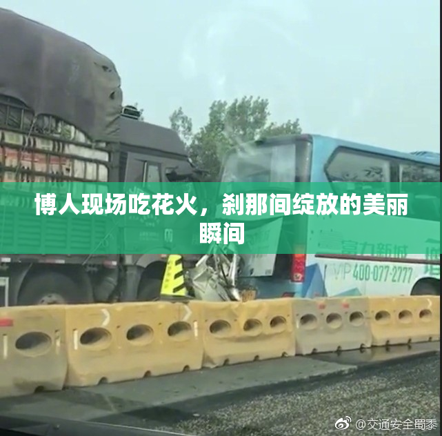 博人现场吃花火，刹那间绽放的美丽瞬间