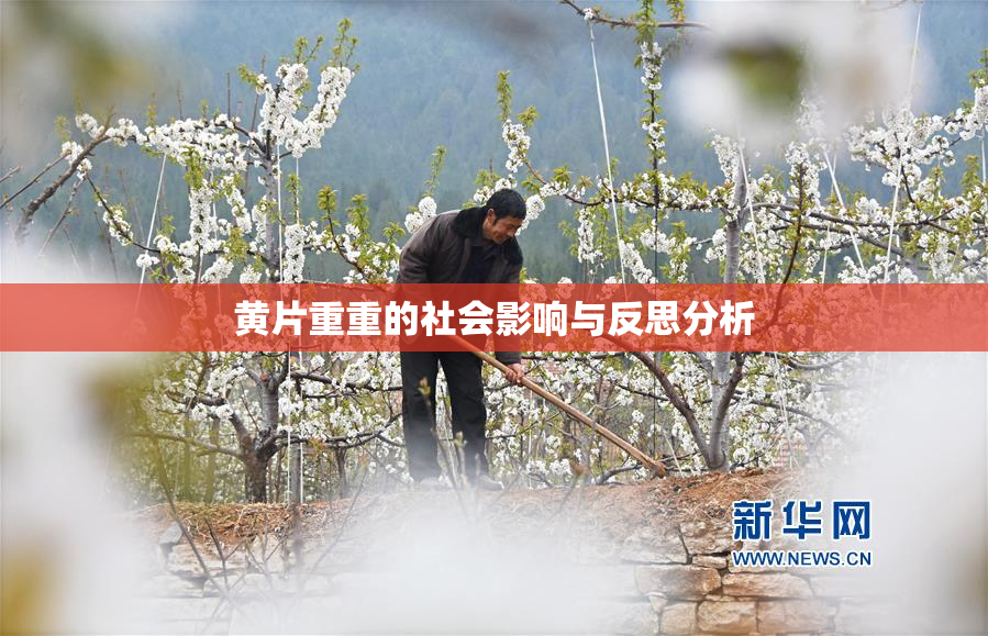 黄片重重的社会影响与反思分析