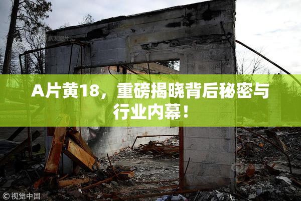 A片黄18，重磅揭晓背后秘密与行业内幕！