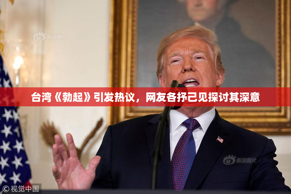 台湾《勃起》引发热议，网友各抒己见探讨其深意