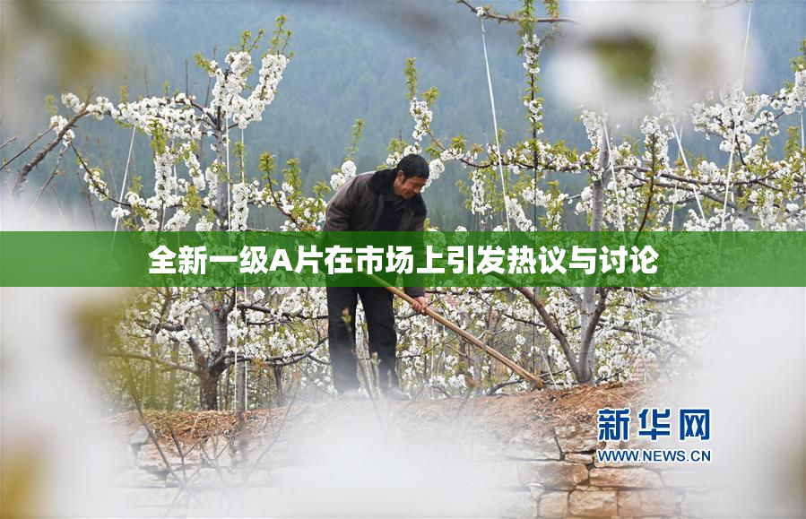 全新一级A片在市场上引发热议与讨论