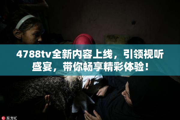4788tv全新内容上线，引领视听盛宴，带你畅享精彩体验！