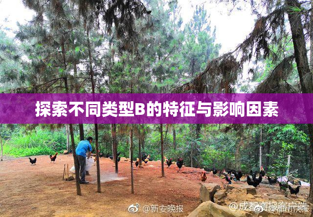 探索不同类型B的特征与影响因素