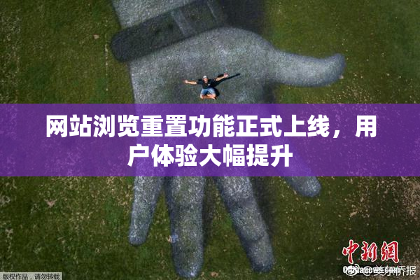 网站浏览重置功能正式上线，用户体验大幅提升