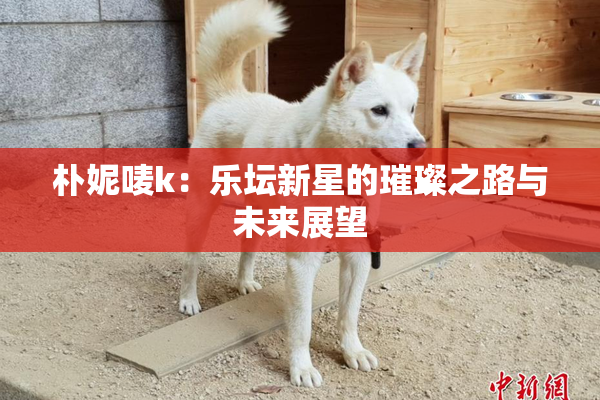 朴妮唛k：乐坛新星的璀璨之路与未来展望