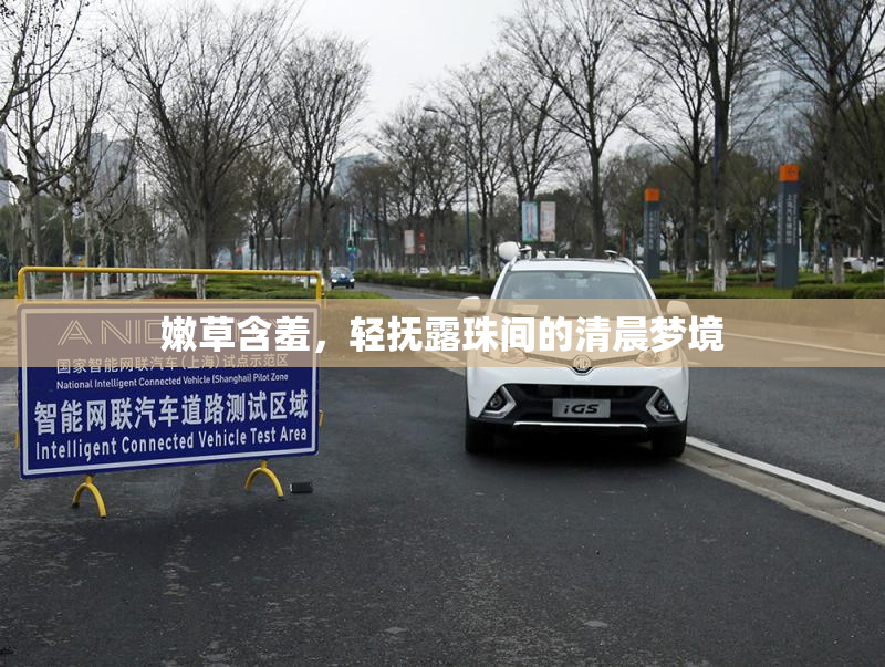 嫩草含羞，轻抚露珠间的清晨梦境