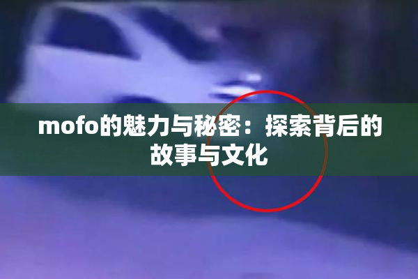 mofo的魅力与秘密：探索背后的故事与文化