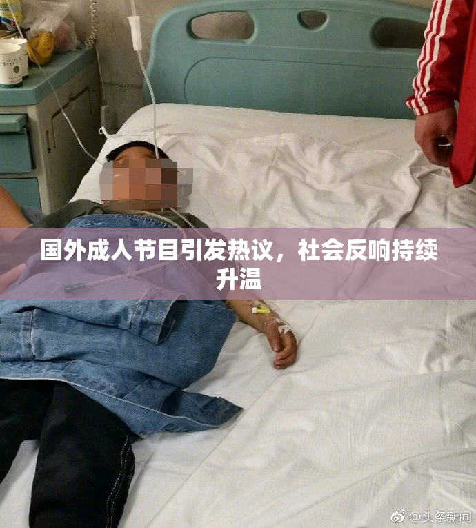 国外成人节目引发热议，社会反响持续升温