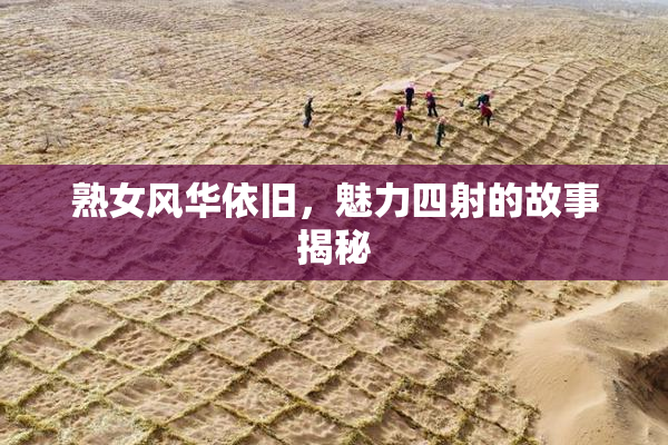 熟女风华依旧，魅力四射的故事揭秘