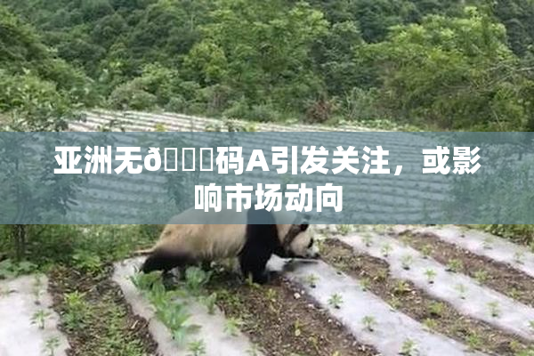 亚洲无🈚码A引发关注，或影响市场动向