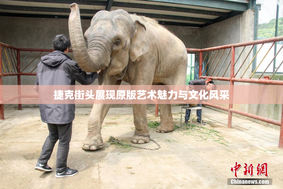捷克街头展现原版艺术魅力与文化风采
