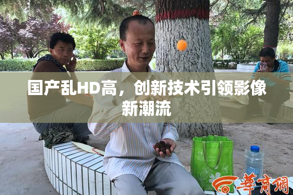 国产乱HD高，创新技术引领影像新潮流