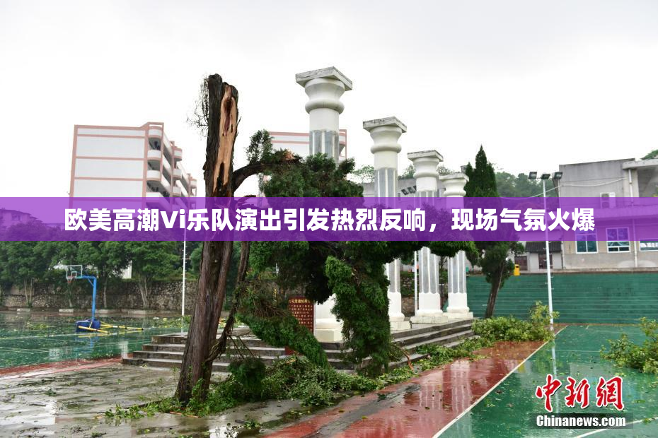 欧美高潮Vi乐队演出引发热烈反响，现场气氛火爆