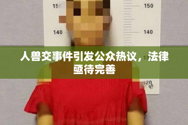 人兽交事件引发公众热议，法律亟待完善