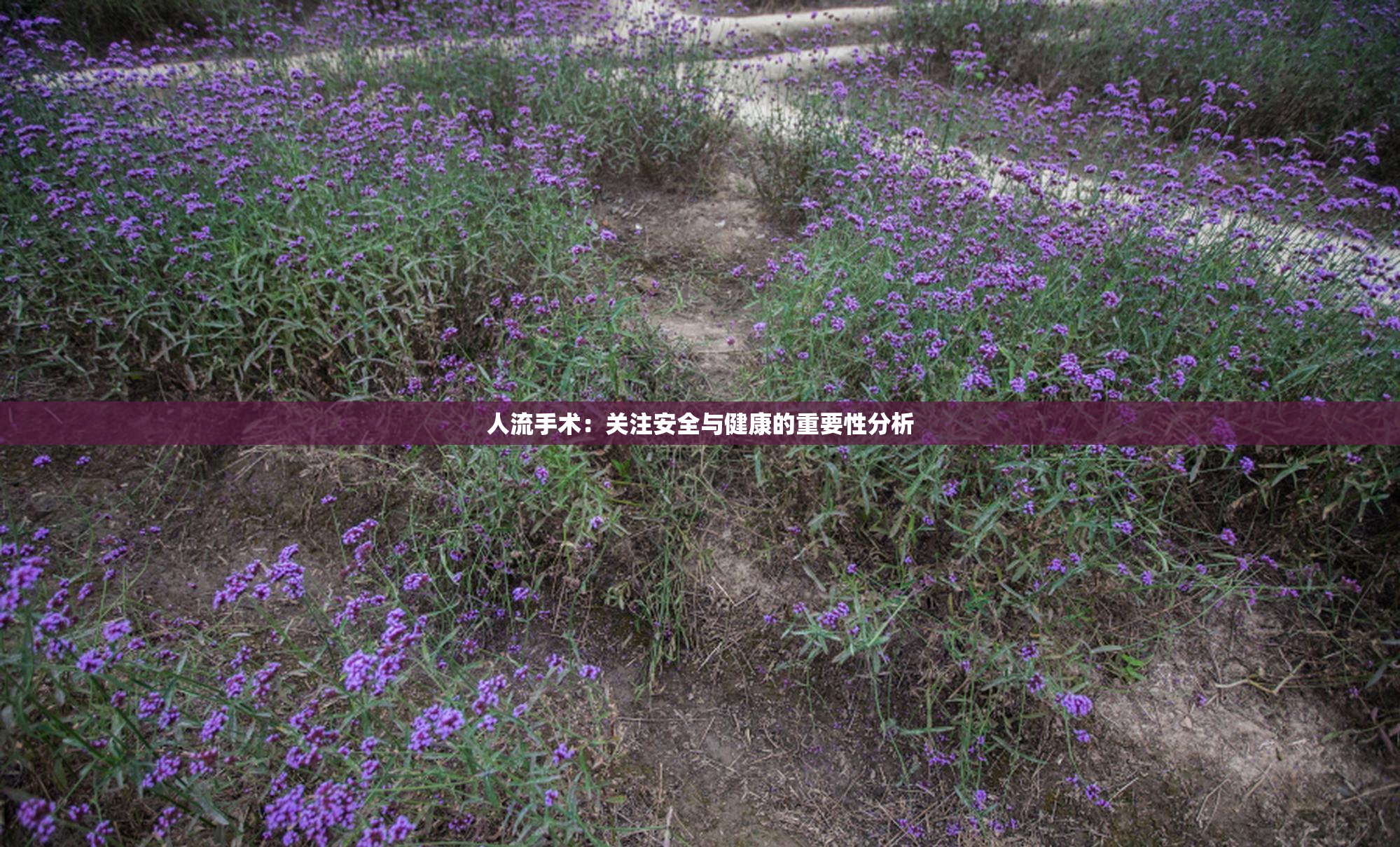 人流手术：关注安全与健康的重要性分析